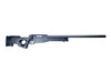 Sniper, Man, SL, AI AW 308