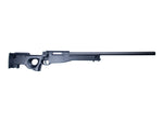 Sniper, Man, SL, AI AW 308