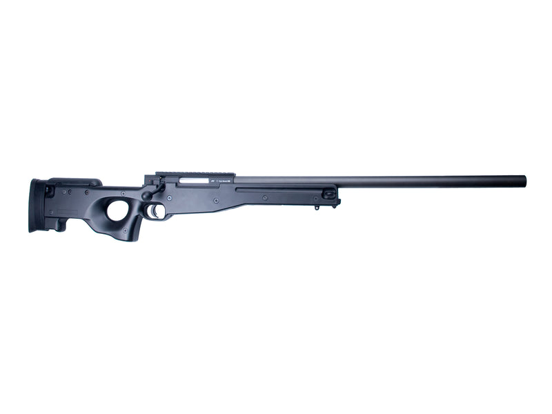 Sniper, Man, SL, AI AW 308