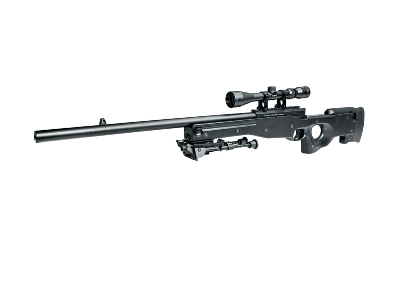Sniper, Man, SL, AI AW 308