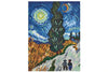 HAMA Hama Art midi Van Gogh