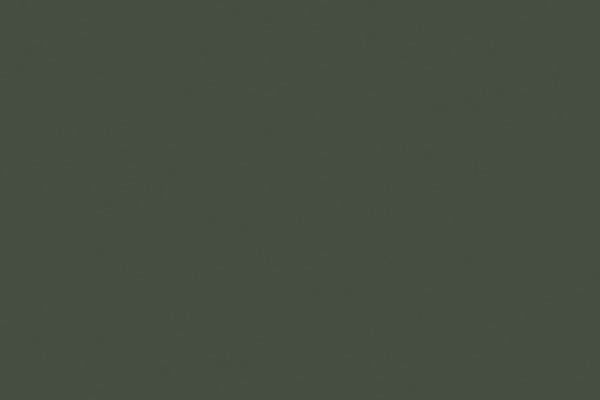 Model Air 17ml US forest green