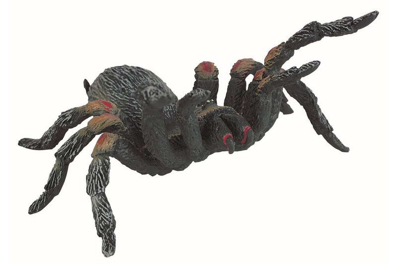 Tarantel