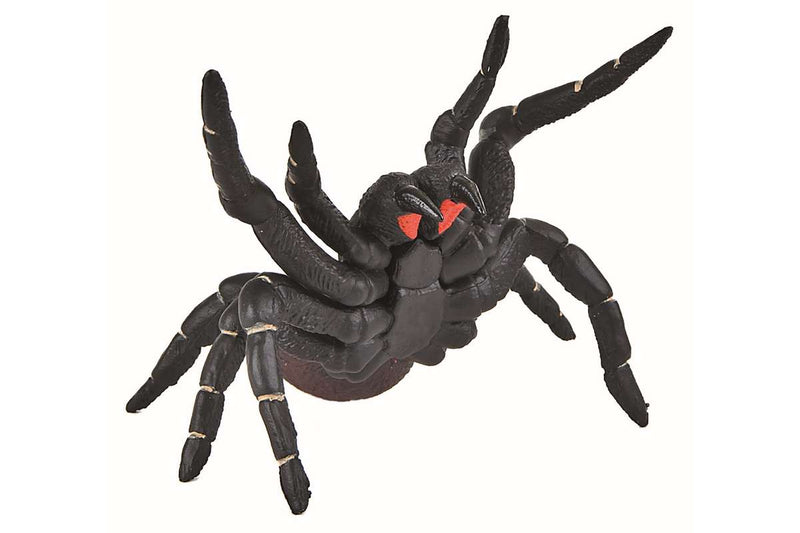 Sydney funnel-web edderkop