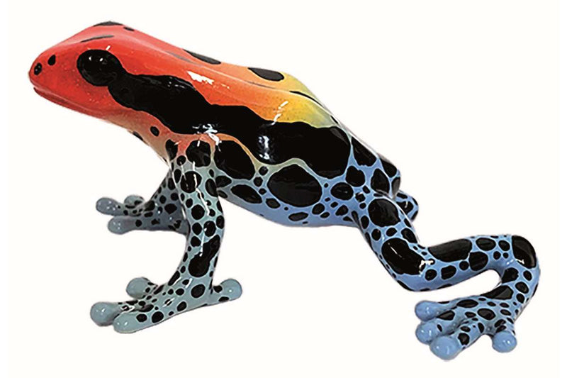 Poison Dart Frog Amazonica