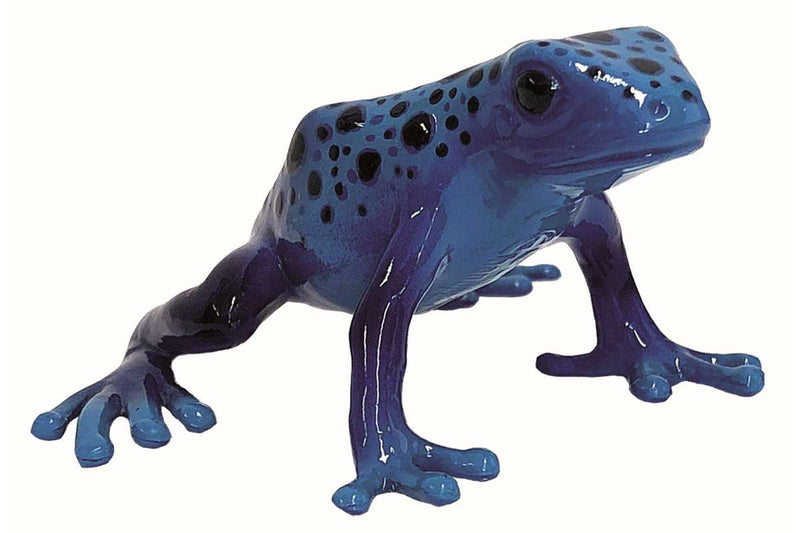 Poison Dart Frog Azureus